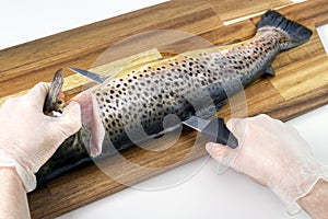 Filleting trout