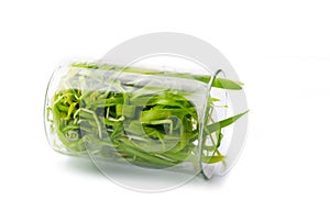 Filling bright green grass