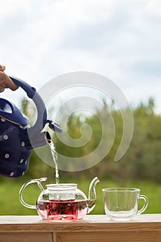 Filling the kettle with boiling water Carcade tea drinking on th