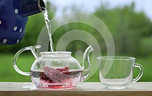 Filling the kettle with boiling water Carcade tea drinking on th photo