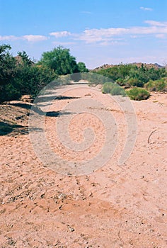 Arizona Desert Arroyo on Film photo