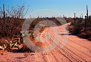 Dirt Road Sonora Desert Arizona on Film