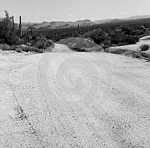 Film Image Sonora Desert Dirt Road Arizona Monochrome