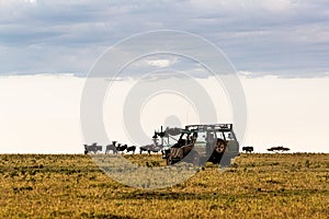 Film Production Vehicle Photographing  Wildlife in Africa