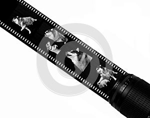 Film Strip