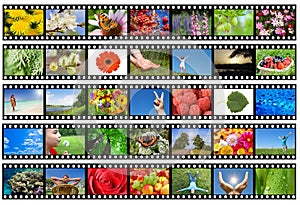 Film strip with different photos - life and nature