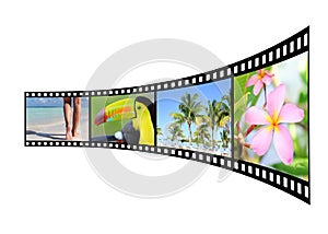 Film strip with pictures of tropical nature