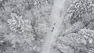 Filming from a drone of people walking along a snowy trail