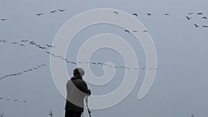 Filming migrating flying cranes near Bisdorf, Germany