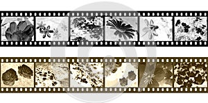 Filmstrip negatives