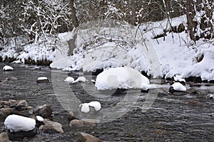 Filomena snow storm in the Cidacos valley.