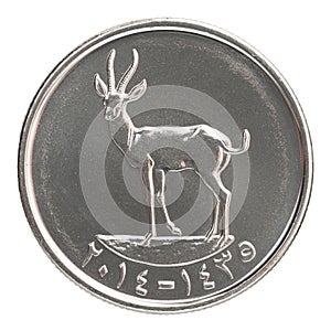 Fils UAE coin