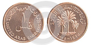 Fils UAE coin