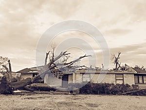 Filtered image bungalow house damaged by tornado and tree falls in Dallas, Texas