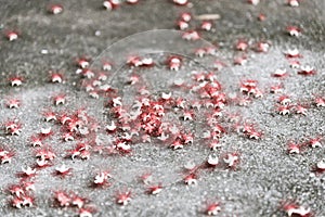 Filtered image fallen white pink barringtonia acutangula flowers on the ground at springtime in Hanoi, Vietnam