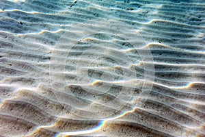 Filtered Sunlight Streaks on Sandy Sea Bottom