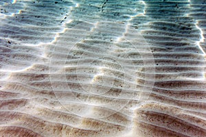 Filtered Sunlight Streaks on Sandy Sea Bottom