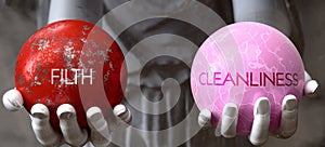 Filth or Cleanliness - decide between two options photo