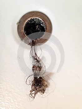 Filthy hair clog from bathtub drain