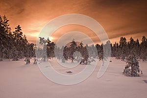 Filtred wintery landscape photo
