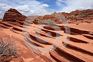 The Fin - Coyote Buttes North