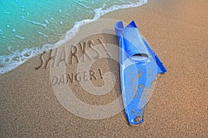 Fin swimm bitten and sharks danger