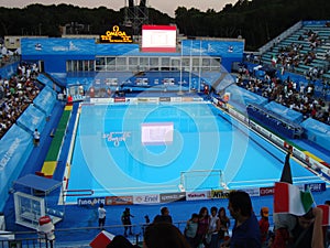 FINA World Championship