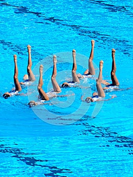 FINA World Championship  2009