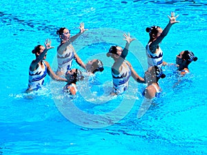 FINA World Championship  2009