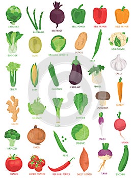 Collection of various hand drawn, colorful vegetables, isolated on a white background.