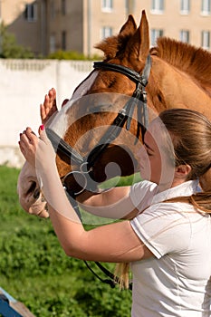 Final adjustments to horse's bridle photo