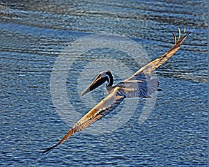 The final approach before splashdown in the water.