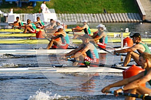 The finals in rowing