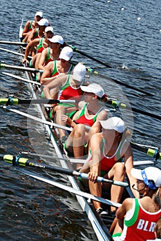 The finals in rowing.
