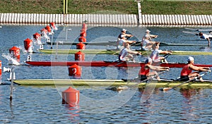 The finals in rowing
