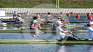 The finals in rowing