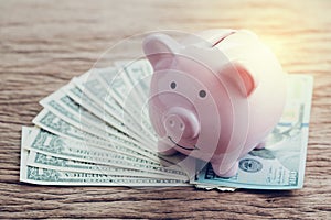 Finance, banking, saving money account, pink piggy bank on pile photo