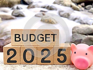 Finance and Economy Concept. Budget 2025 text on wooden blocks and piggy bank with nature background.