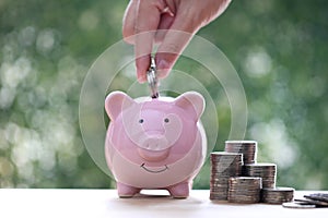 Finance, Piggy bank and coins money on natural green background, Save money for prepare in future and pension retirement concept