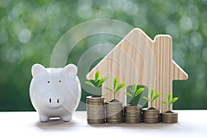 Finance, Piggy bank and plant growing on stack of coins money with model house on natural green background, Interest rates and