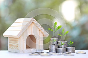 Finance, Plant growing on stack of coins money and Model house on natural green background, Interest rates and Banking concept