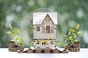 Finance, Plant growing on stack of coins money and model house on natural green background, Interest rates and Banking concept
