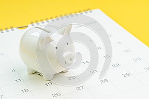 Finance, saving money or salary pay day, white piggy bank on white clean calendar on solid yellow background photo