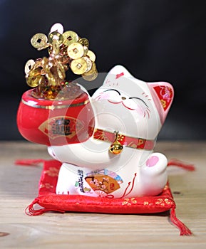 Finance savings lucky fortune cat money tree coin bank