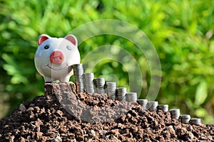 Finance stack coins and piggy bank on nature background