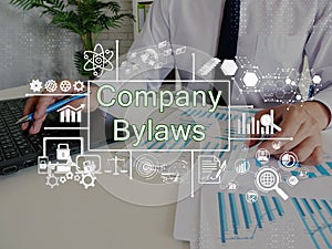 Financial concept about Company Bylaws with inscription on the page photo