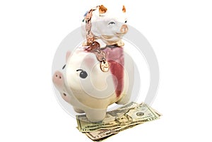 Financial Concept/Piggy Banks