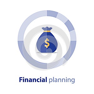 Financial diversification, budget plan, circle diagram, money bag, savings account, vector icon photo