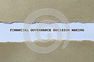 financial governance decision making on white paper