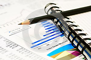 Financial graphs and charts accounting